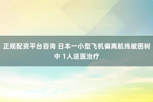 正规配资平台咨询 日本一小型飞机偏离航线被困树中 1人送医治疗