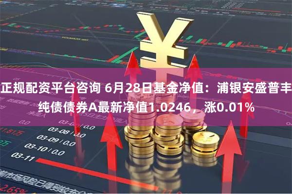 正规配资平台咨询 6月28日基金净值：浦银安盛普丰纯债债券A最新净值1.0246，涨0.01%