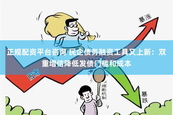 正规配资平台咨询 民企债务融资工具又上新：双重增信降低发债门槛和成本